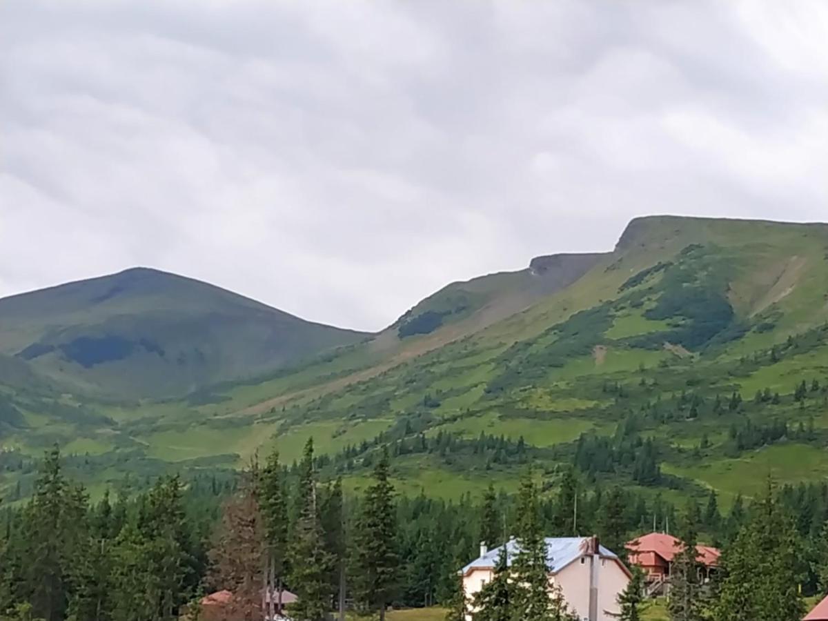 оселя دراغوبرات
